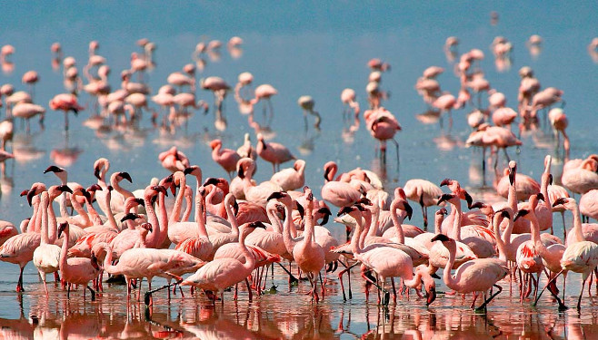 10 Days in Northern Tanzania